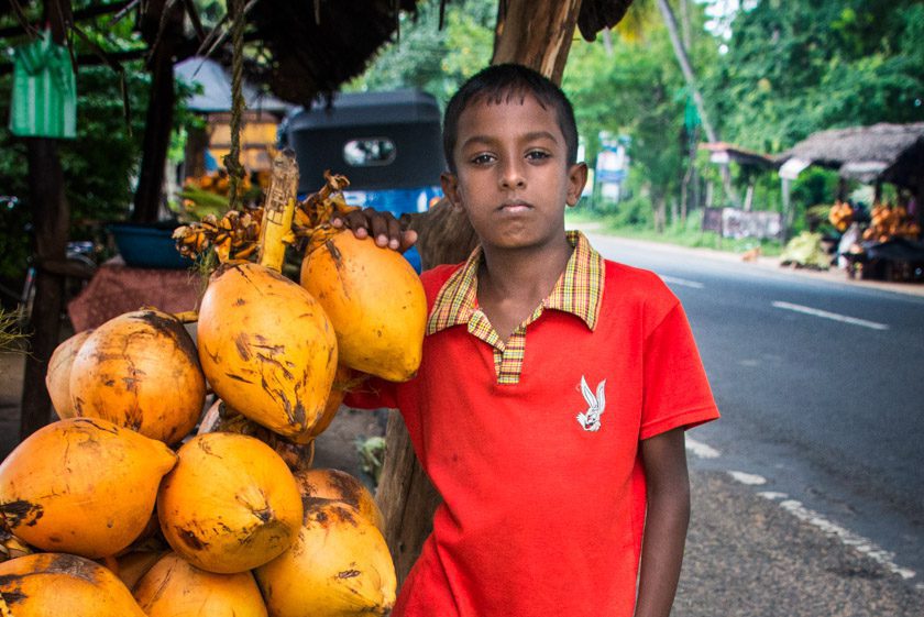 Colombo to Udawalawe|||||||||||||||||||||||||Sri Lanka Road Trip|Buddhist Temple in Sri Lanka|Udawalawe|Road trop in Sri Lanka|Road Trip From Colombo|Road to Udawalawe|Colombo to udawalawe|Highway to Udawalawe|Small town in Sri Lanka||Tissa Stupa