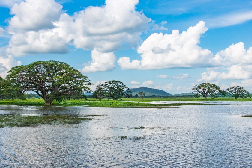 Tissa Lake, Tissamaharama, Sri Lanka