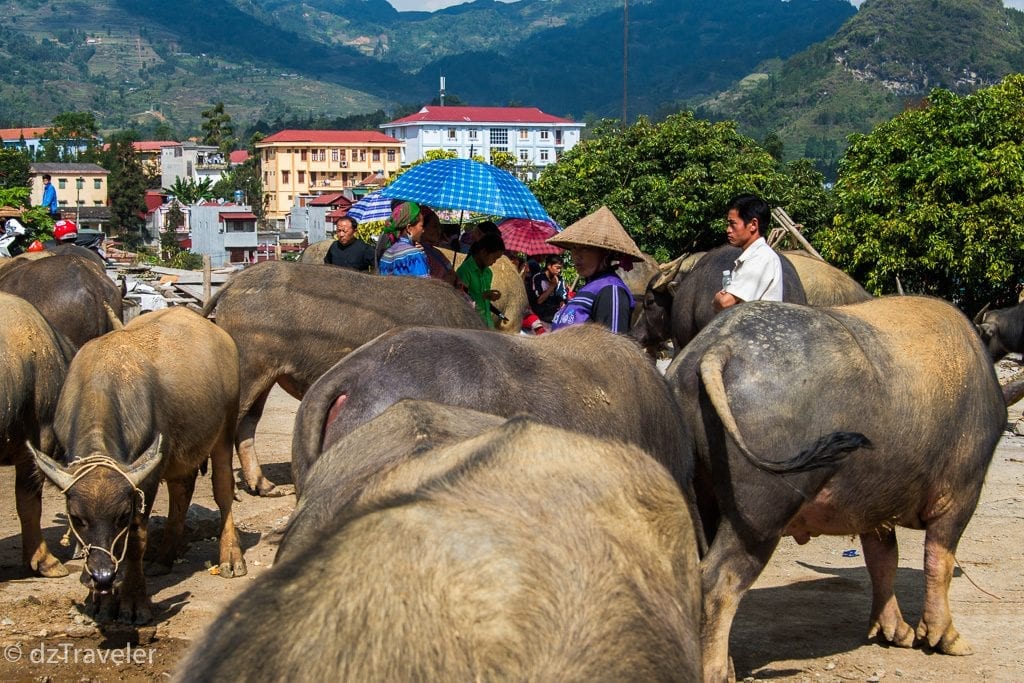 Bac Ha Sunday Market, Vietnam