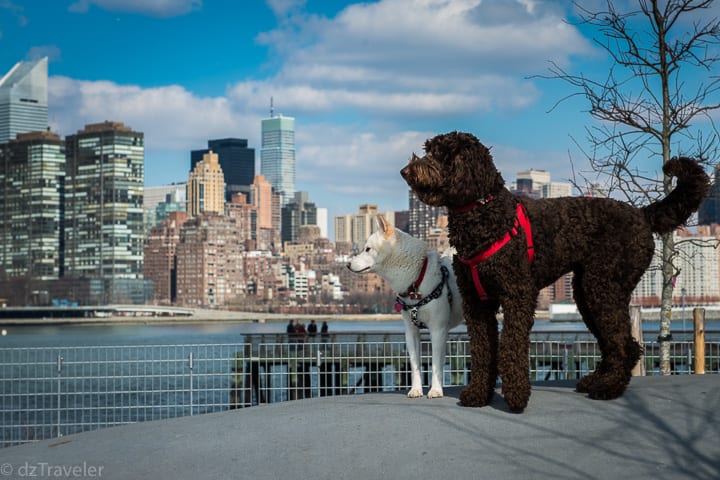 New York City|||Rainbow Room