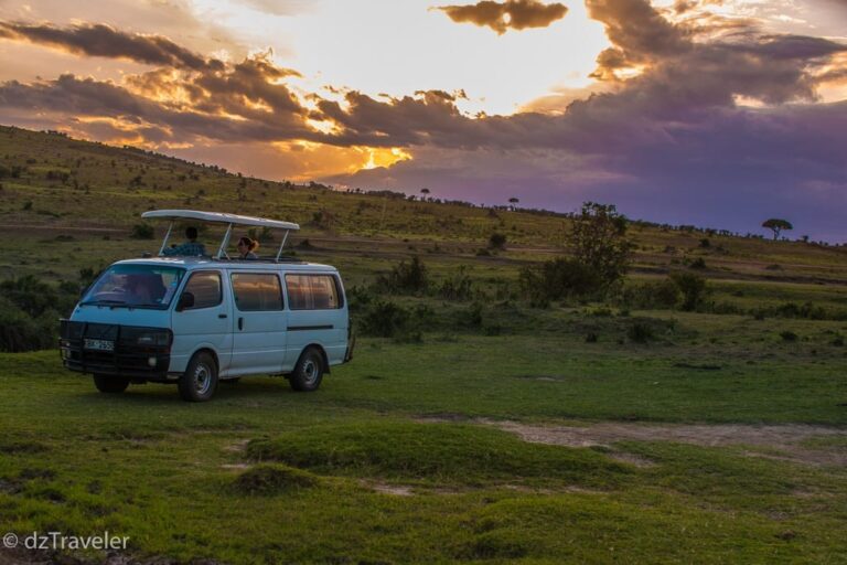 Safari in Masai mara||||||||||||||||||||||