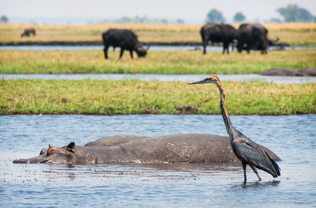 Chobe National Park
