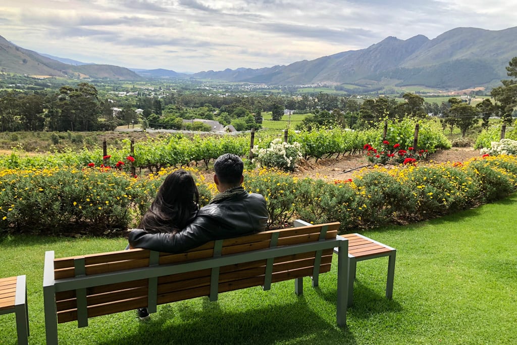 Franschhoek Valley||||||||||||African penguins-Boulder Beach||Signal Hill